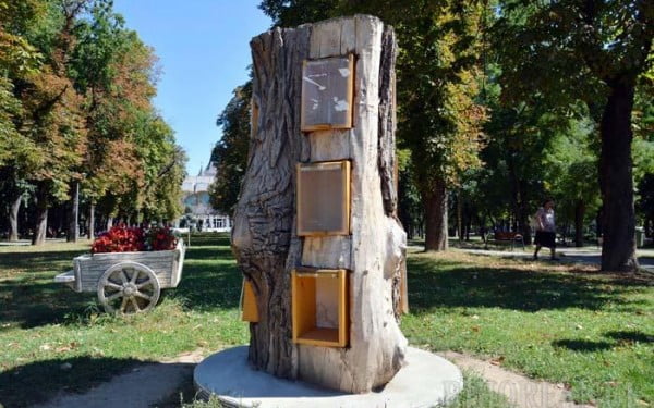  Copacul cu cărţi