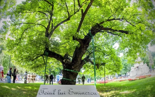 Teiul-lui-Mihai-Eminescu