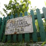 Zdreanta