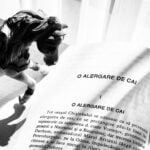 O alergare de cai