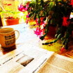 abule 2 foto