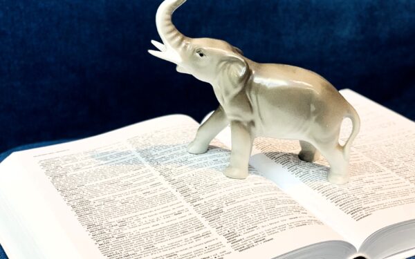 A avea memorie de elefant