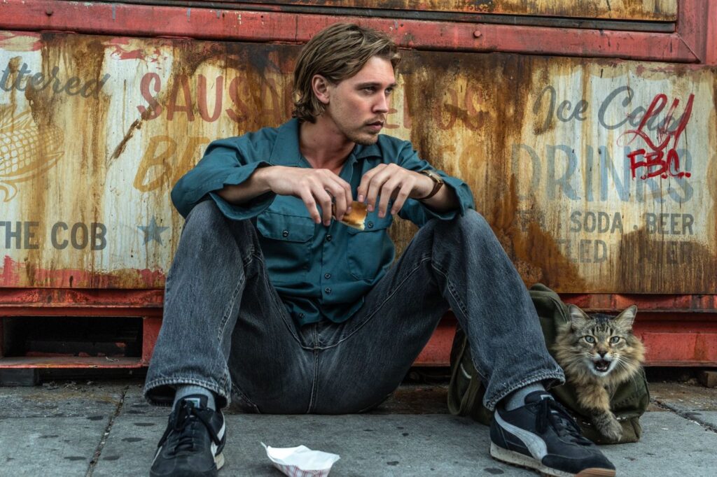 Prins cu mâța-n sac