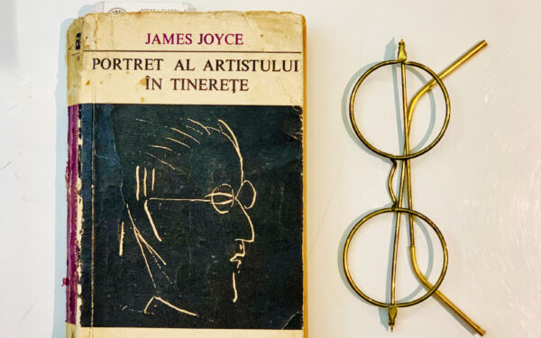 Portret al artistului in tinerete 1