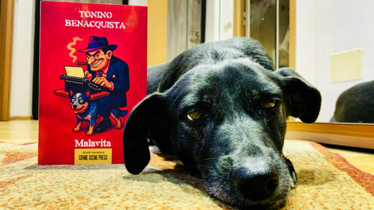 Malavita 1