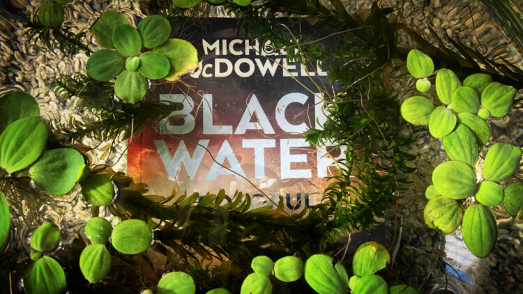 Black Water