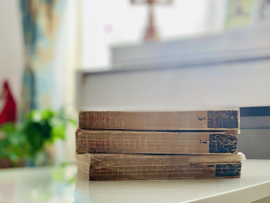 Topul cărților mele preferate în 2025 - Familia Thibault 2