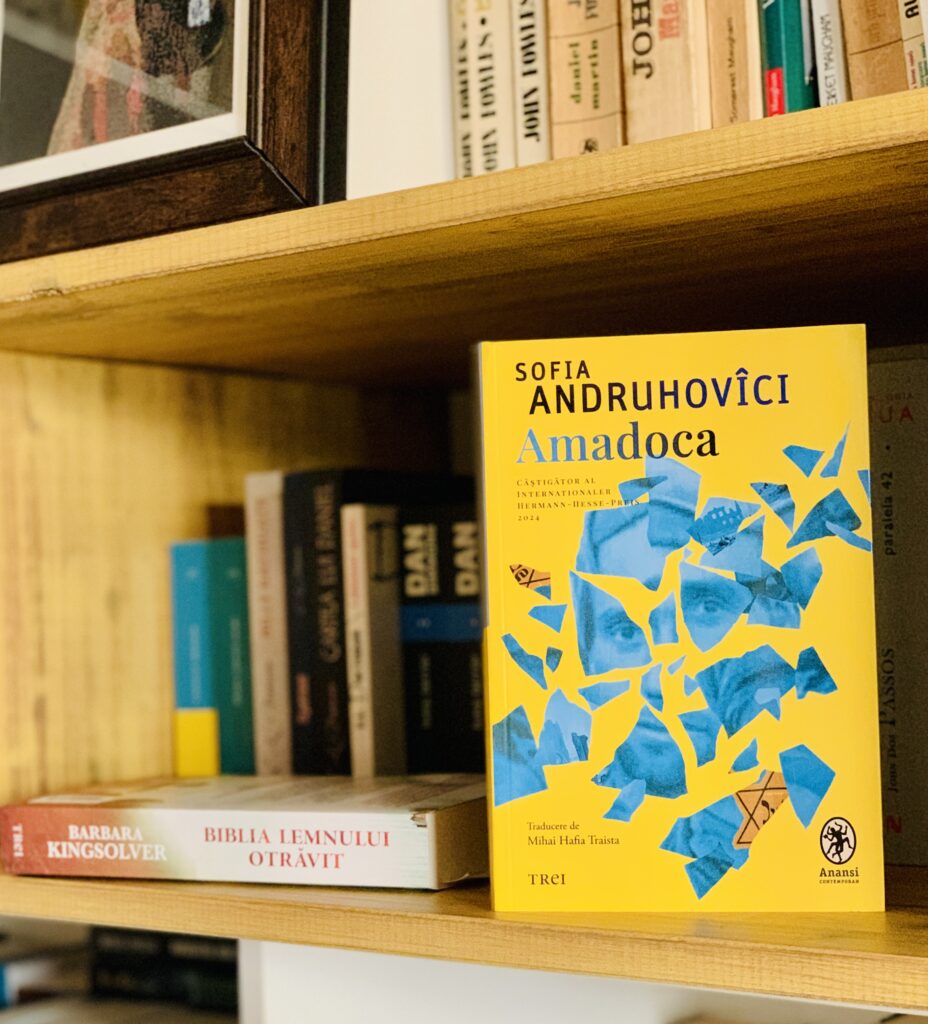 Primele 4 carti - Amadoca