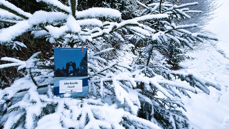 Coperta cărții „Zăpada” de John Banville, Ed. Polirom, pozată pe ramuri de brad acoperite cu zăpadă, fotografie de atmosferă pentru recenzie.