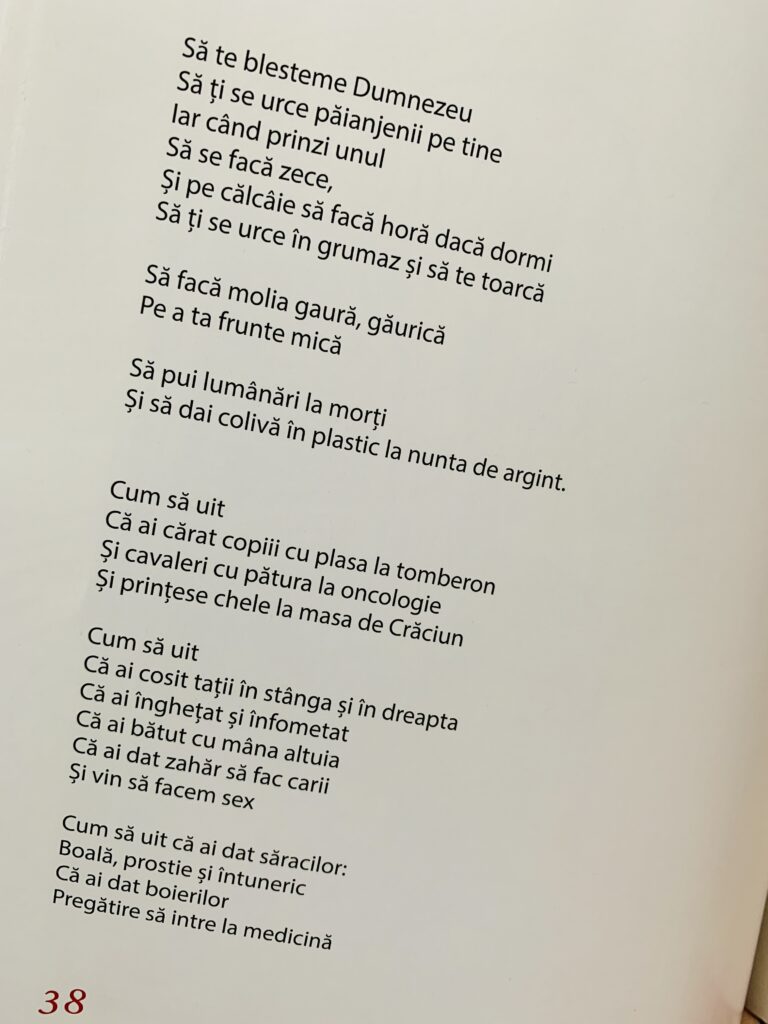 Detaliu macro cu versurile scrise de Andrei Coca pe o pagină din volumul său de debut „Odă Racului”, apărut la Editura Vremea.