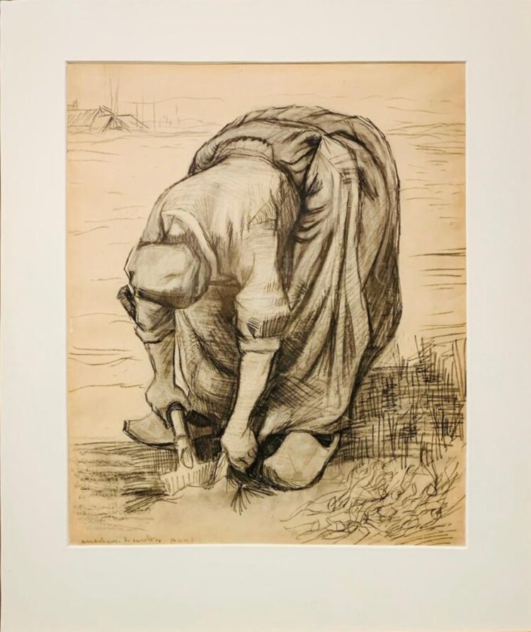 singurul van gogh din romania culegatoarea de morcovi colectia slatineanu art safari
