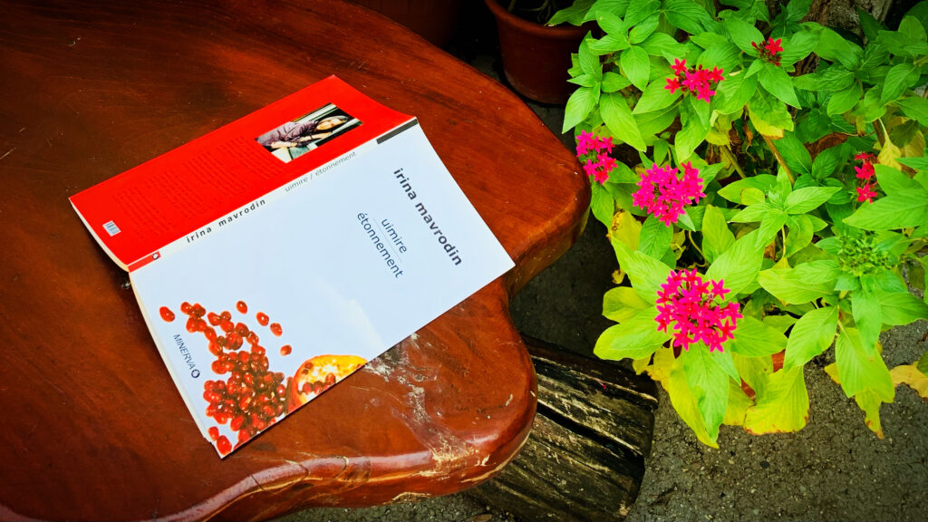 poezii Irina Mavrodin volumul pe o banca de lemn langa o planta inflorita