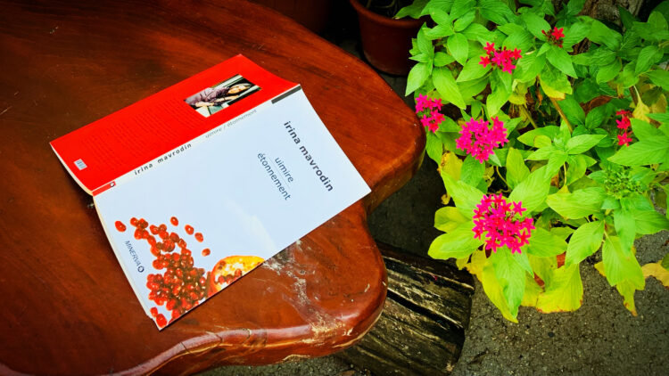 poezii Irina Mavrodin volumul pe o banca de lemn langa o planta inflorita