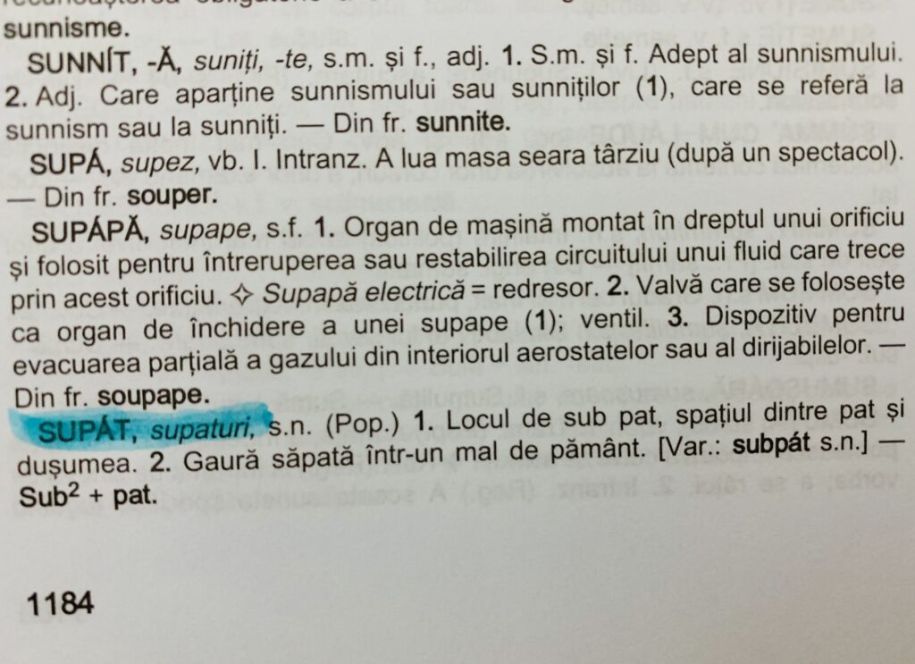 CUVANTUL SUPAT in dictionar