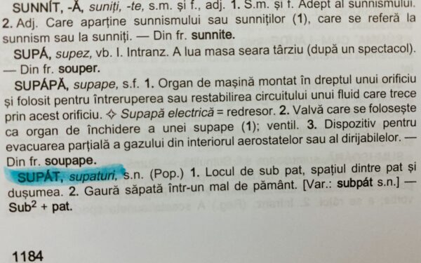 CUVANTUL SUPAT in dictionar