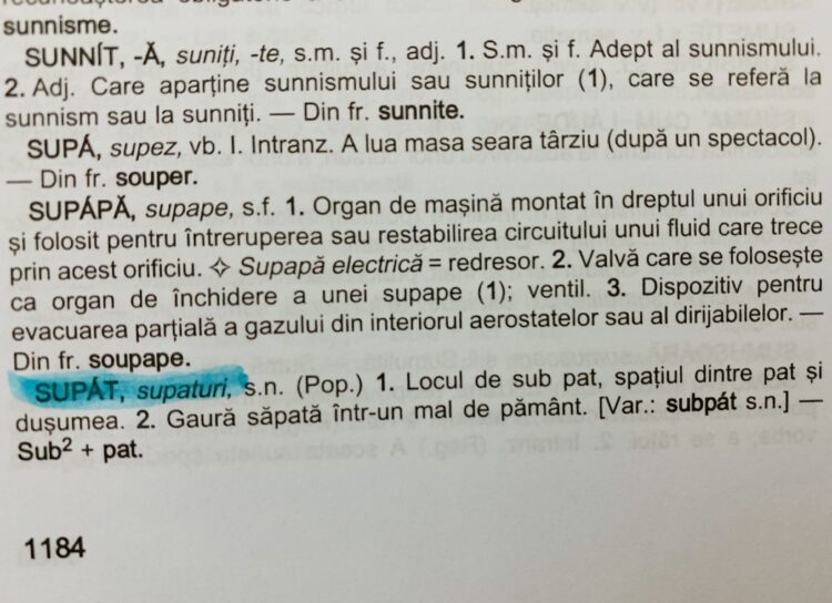 CUVANTUL SUPAT in dictionar